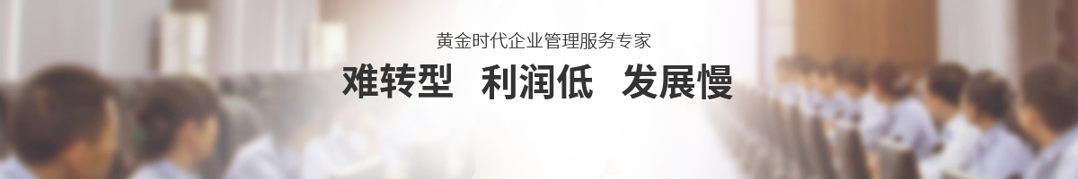 顧問式咨詢項目助力企業成長